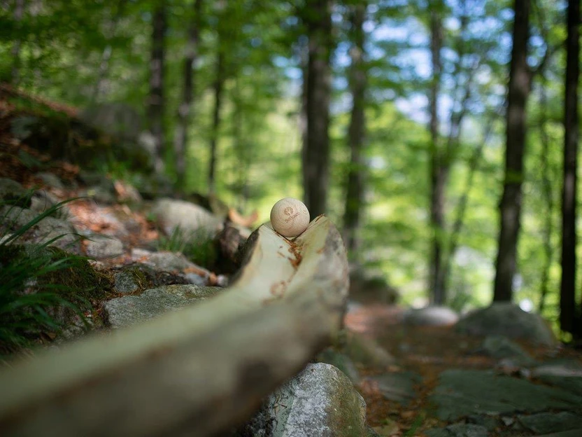 BoBosco